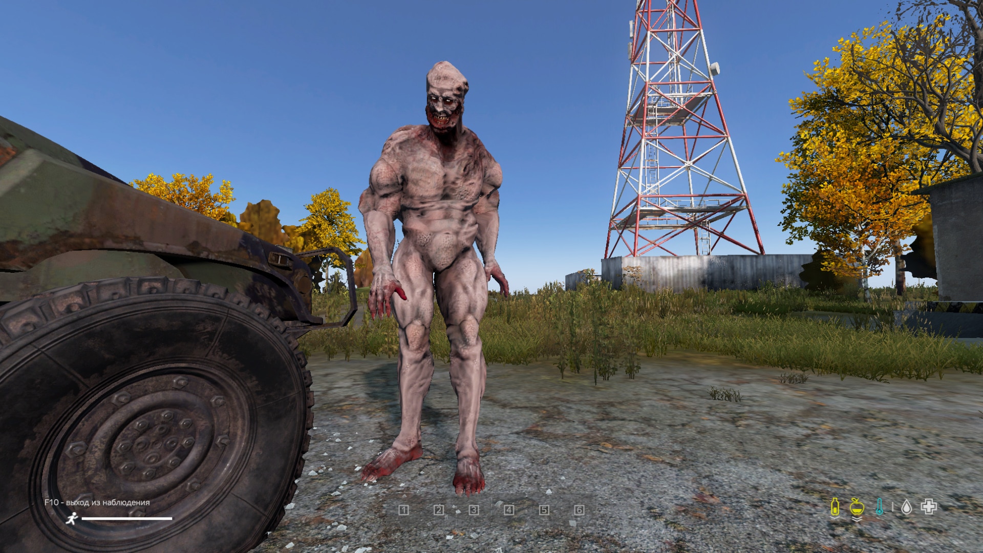 Галерея мода Borok | Гигант Зоны - изображение 2